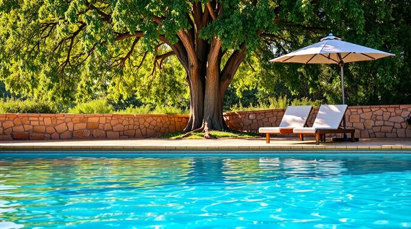 Abris de piscine : le guide essentiel pour bien choisir