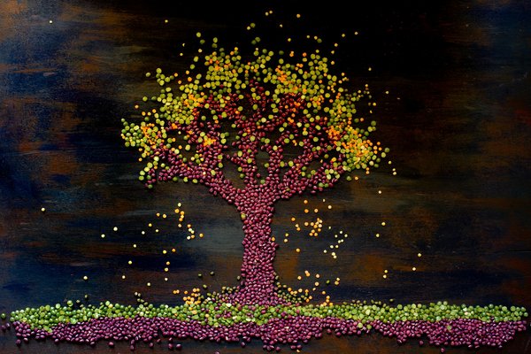 Quelles sont les méthodes pour intégrer une toiture végétale sur un bâtiment historique ?