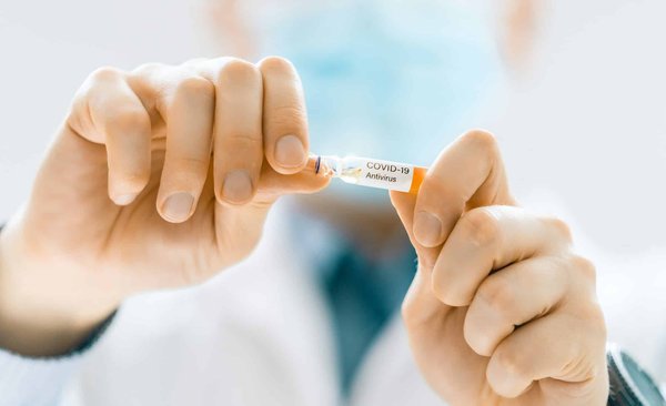 Comment prévenir naturellement les invasions de fourmis dans un jardin de légumes ?